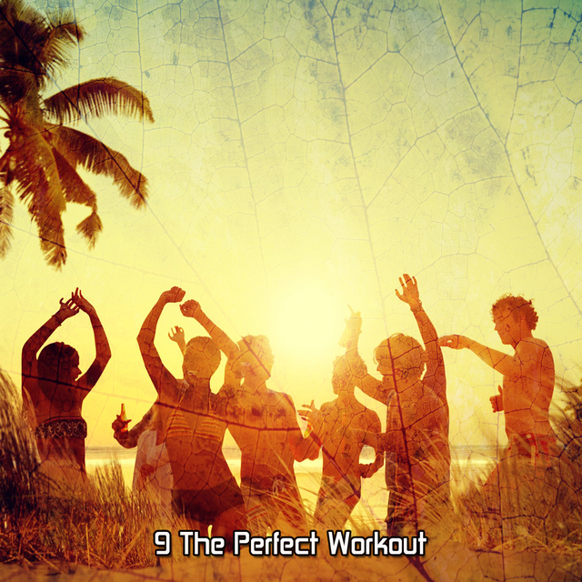 Couverture de 9 The Perfect Workout