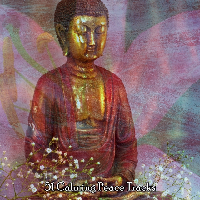 Couverture de 51 Calming Peace Tracks