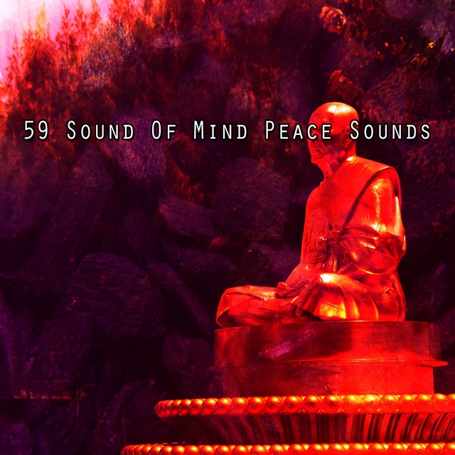 Couverture de 59 Sound Of Mind Peace Sounds