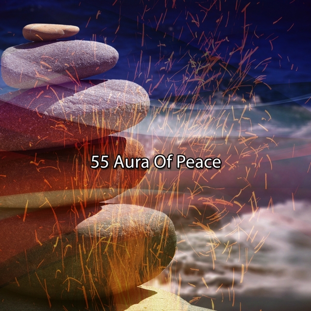 Couverture de 55 Aura Of Peace