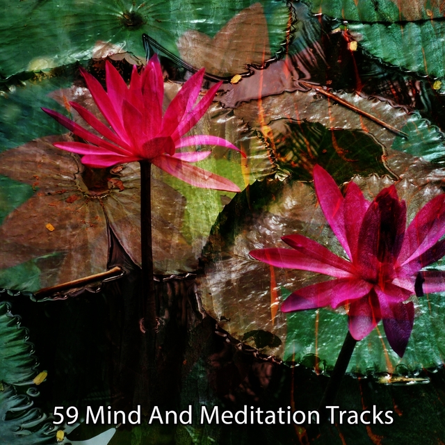 Couverture de 59 Mind And Meditation Tracks