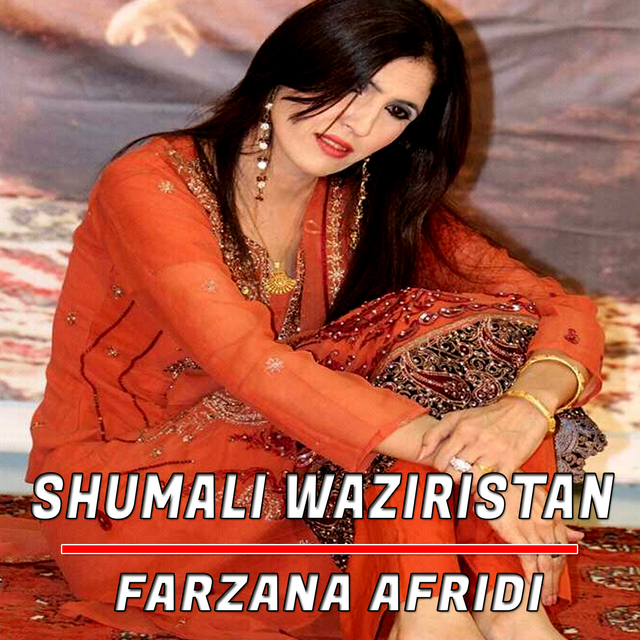 Couverture de Shumali Waziristan