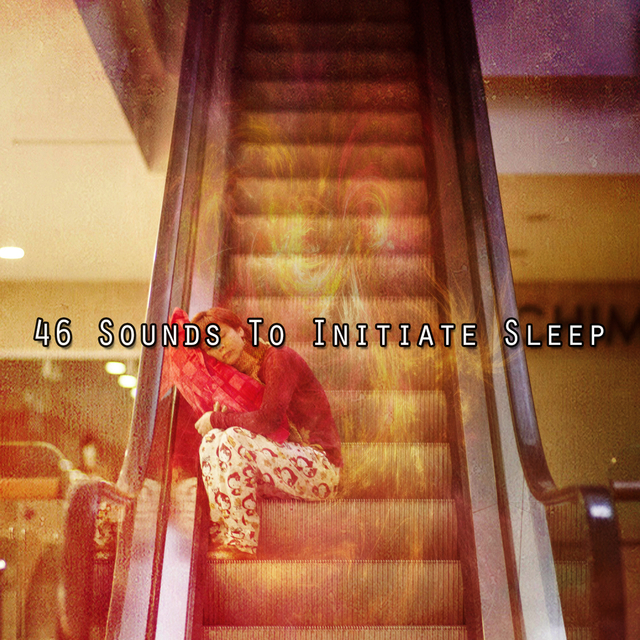 Couverture de 46 Sounds To Initiate Sleep