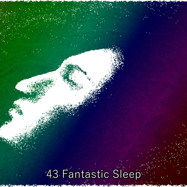 Couverture de 43 Fantastic Sleep