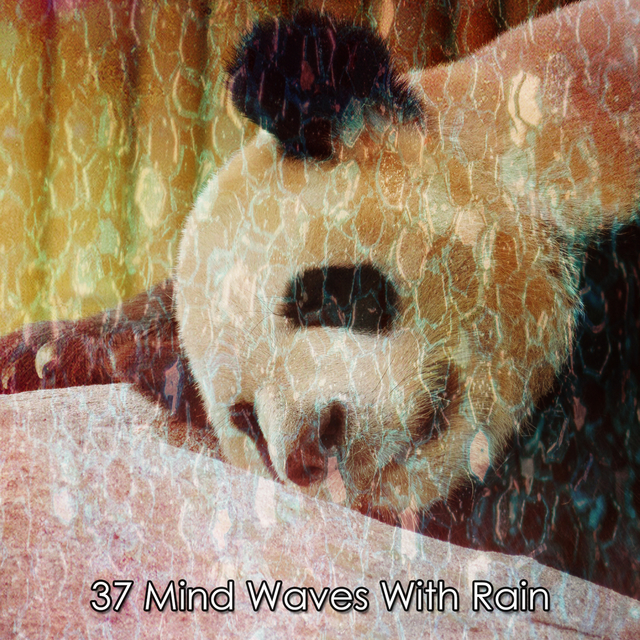 Couverture de 37 Mind Waves With Rain