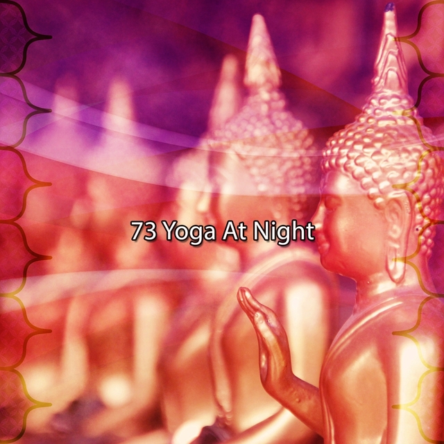 Couverture de 73 Yoga At Night