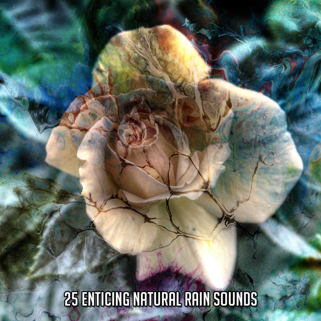 Couverture de 25 Enticing Natural Rain Sounds