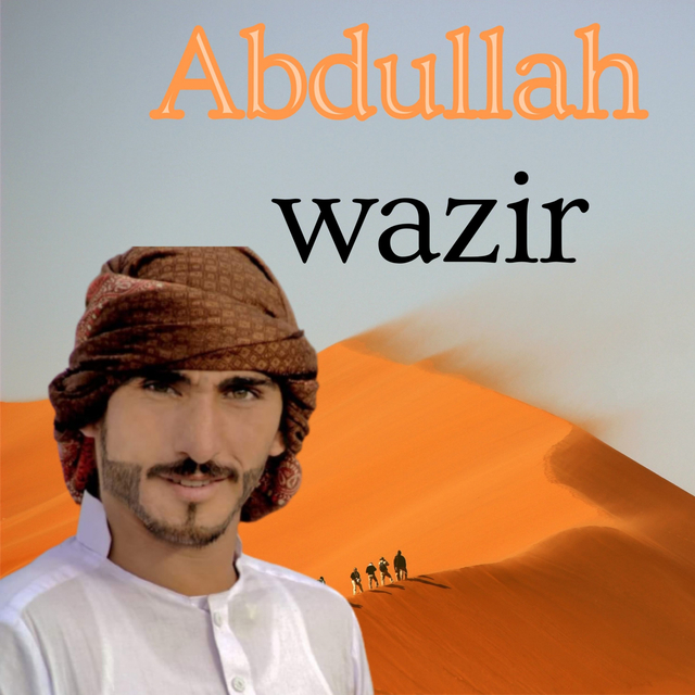 Couverture de WARI SALGAYE