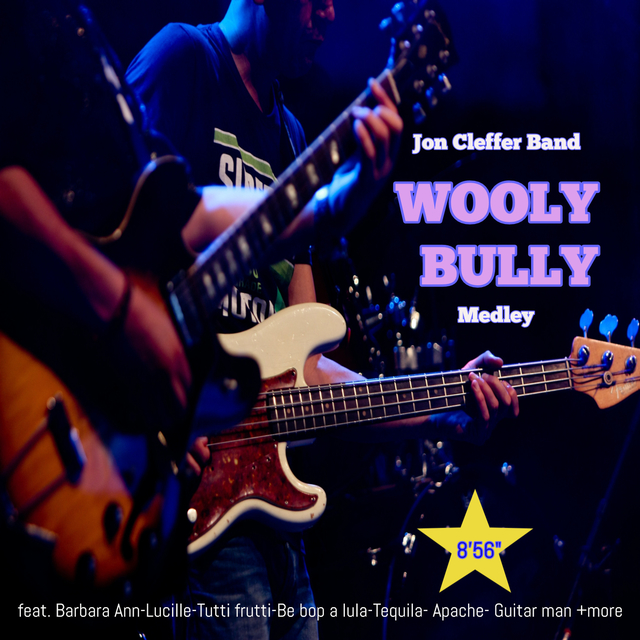 Couverture de Wooly Bully