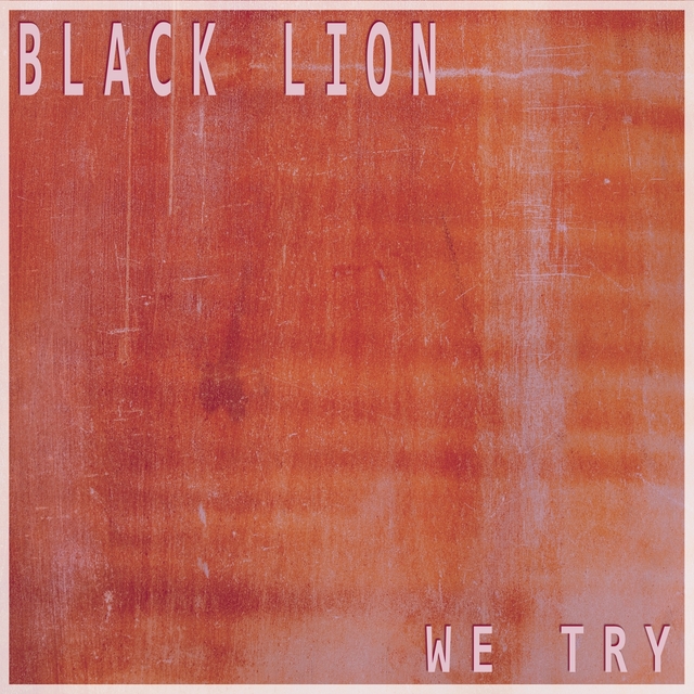 Couverture de We Try