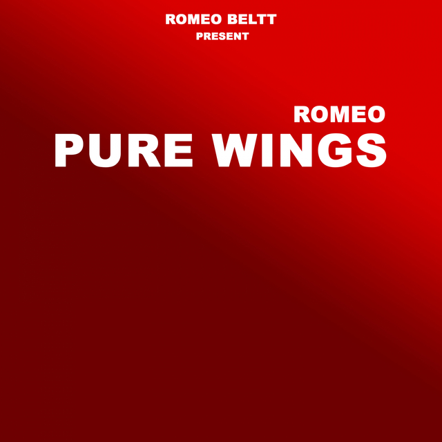 Couverture de Pure Wings