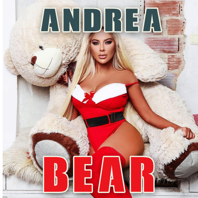 Couverture de Bear