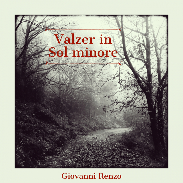 Couverture de Valzer in Sol minore