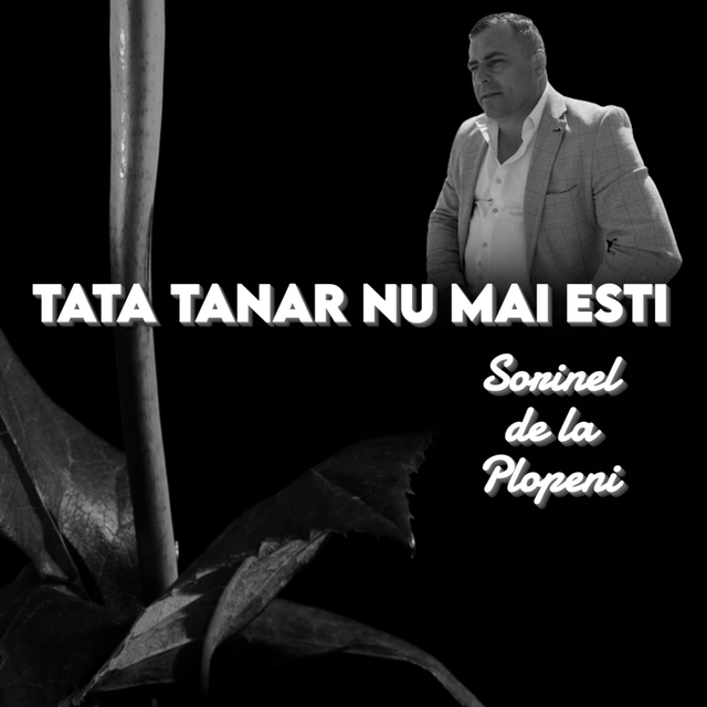 Couverture de TATA TANAR NU MAI ESTI