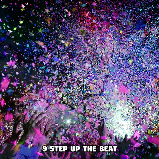 Couverture de 9 Step Up The Beat