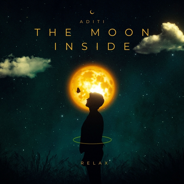 Couverture de The Moon Inside