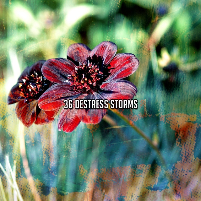 36 Destress Storms