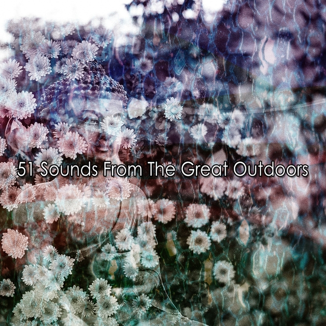 Couverture de 51 Sounds From The Great Outdoors