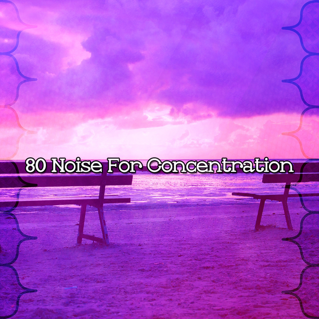 Couverture de 80 Noise For Concentration