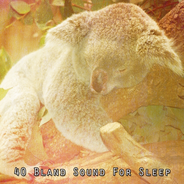 Couverture de 40 Bland Sound For Sleep