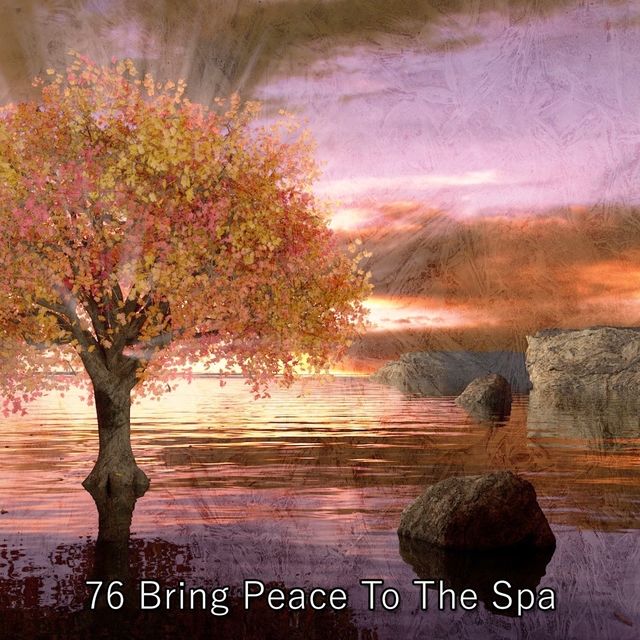 76 Bring Peace To The Spa