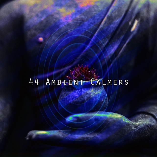 44 Ambient Calmers