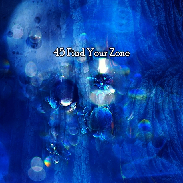 Couverture de 45 Find Your Zone