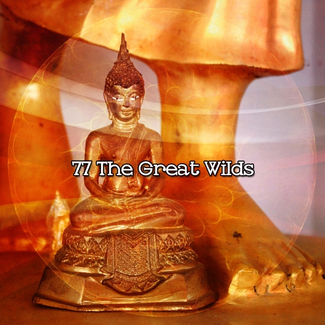 Couverture de 77 The Great Wilds