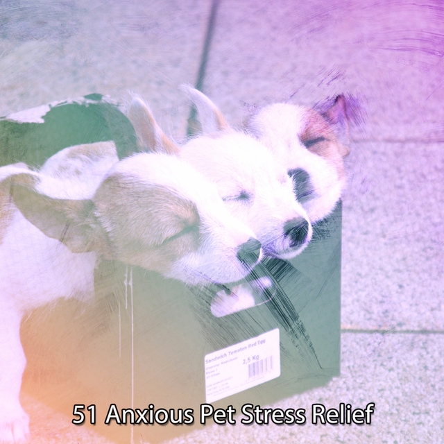 Couverture de 51 Anxious Pet Stress Relief