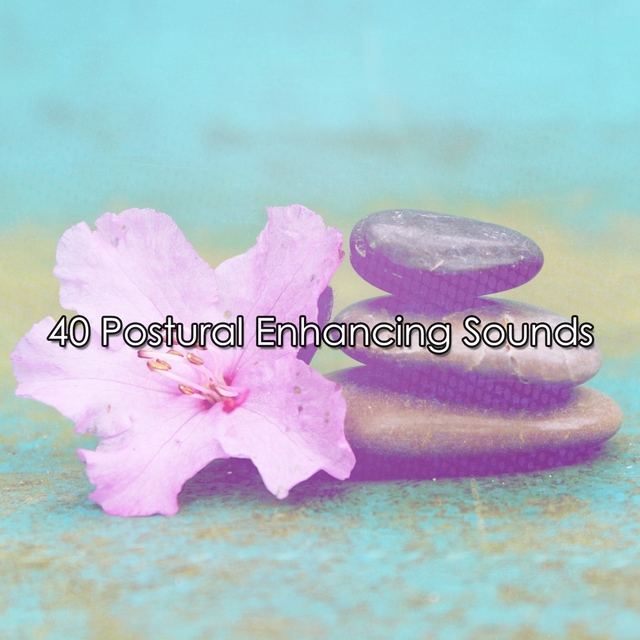 Couverture de 40 Postural Enhancing Sounds