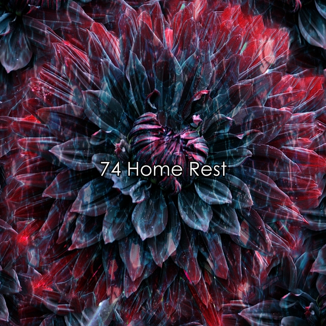 74 Home Rest
