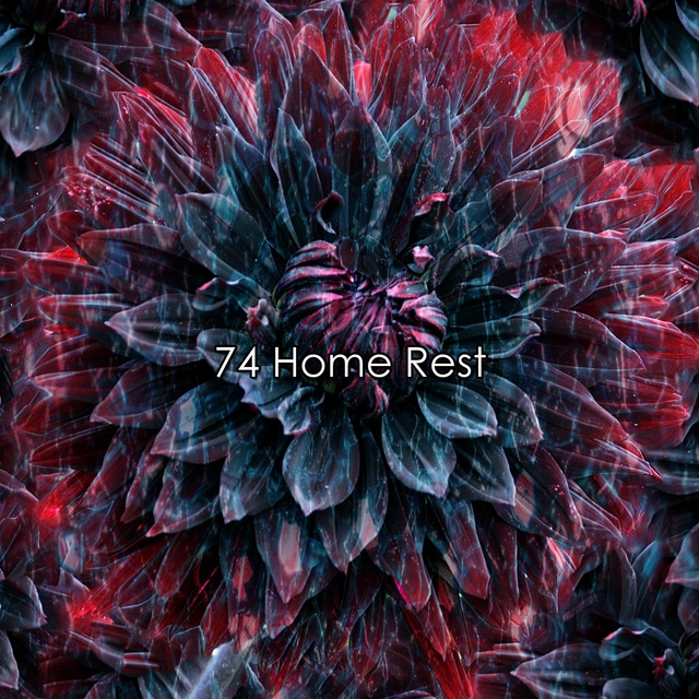 Couverture de 74 Home Rest