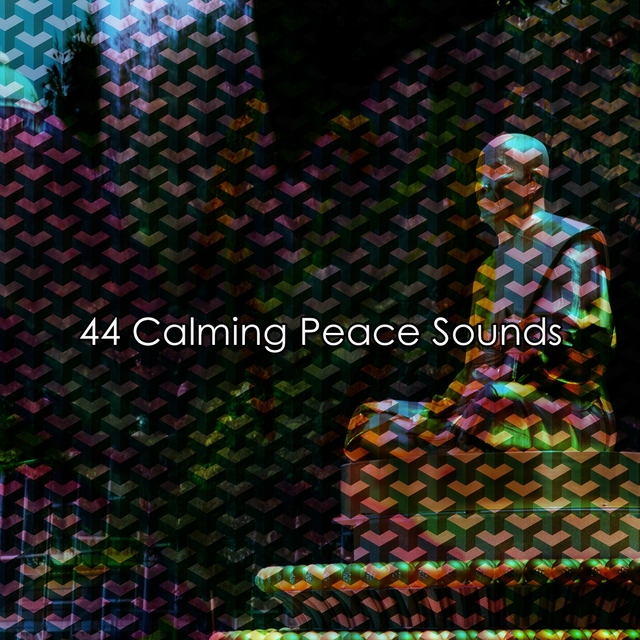 Couverture de 44 Calming Peace Sounds