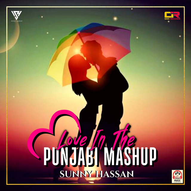 Couverture de Love In The Punjabi Mashup