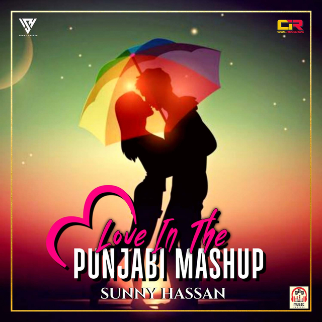 Love In The Punjabi Mashup