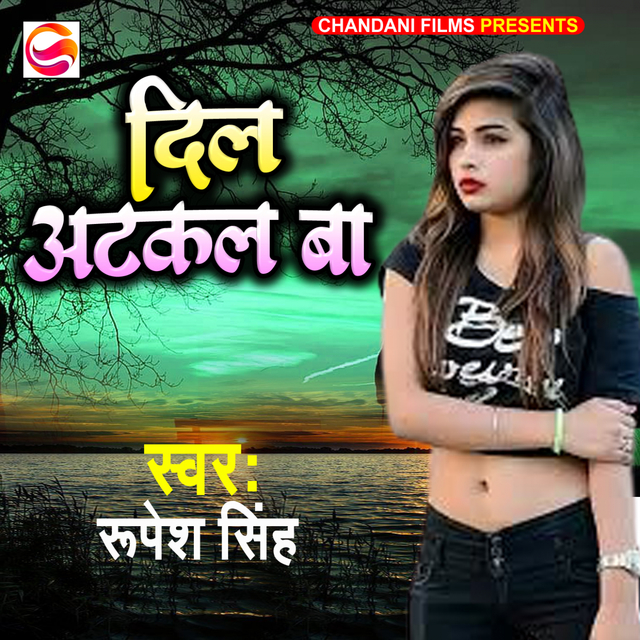 Couverture de DIL ATKAL BA