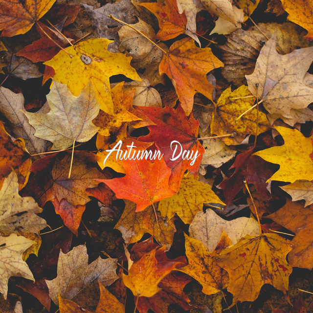 Couverture de Autumn Day