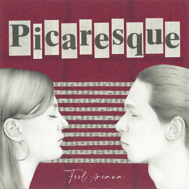 Couverture de Picaresque