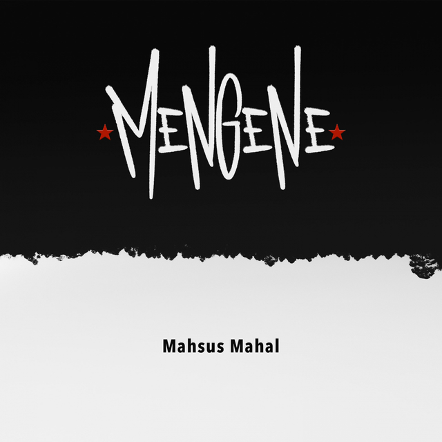 Couverture de Mahsus Mahal