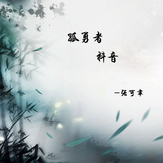 Couverture de 孤勇者抖音