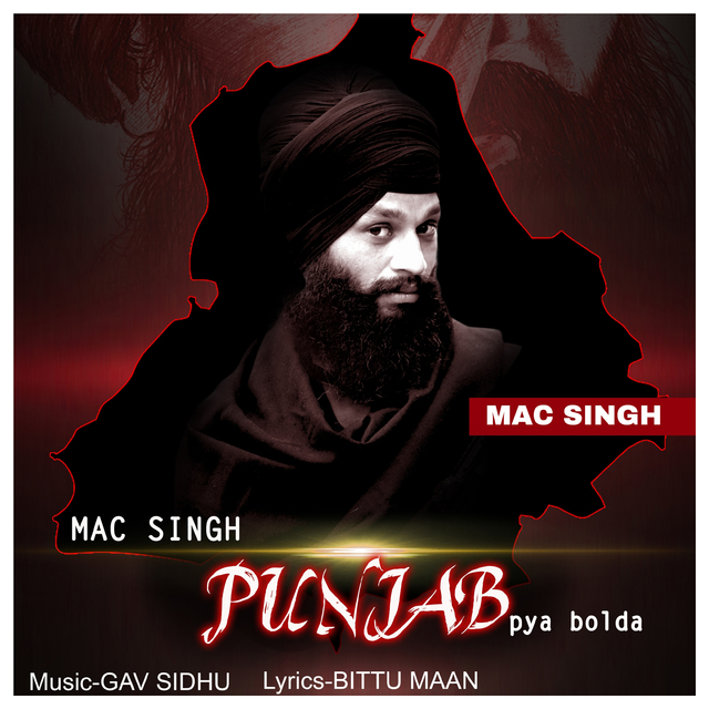 Couverture de Punjab Pya Bolda