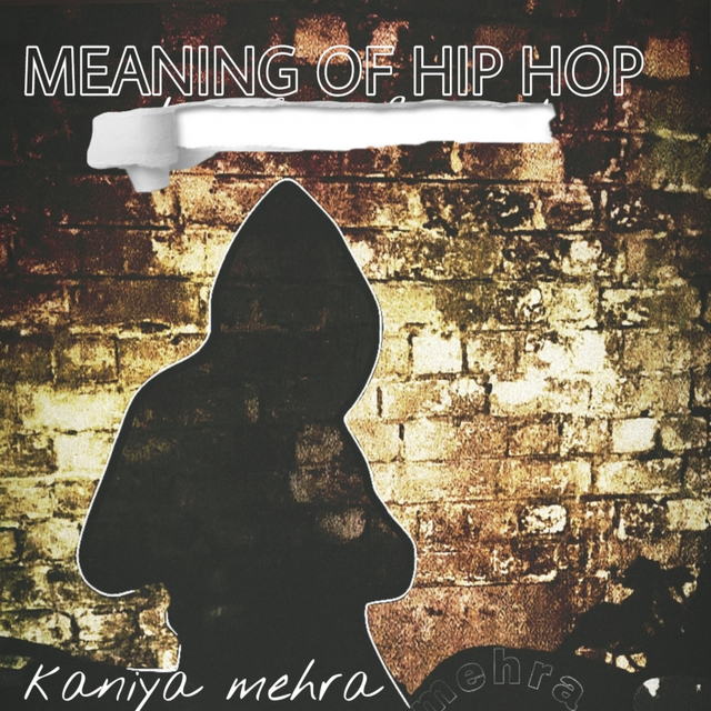 Couverture de Meaning Of Hip Hop