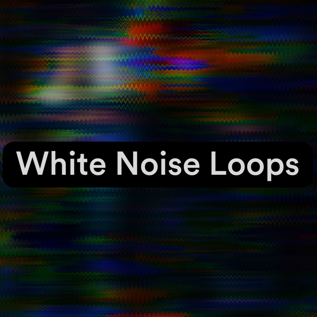 Couverture de White Noise Loops