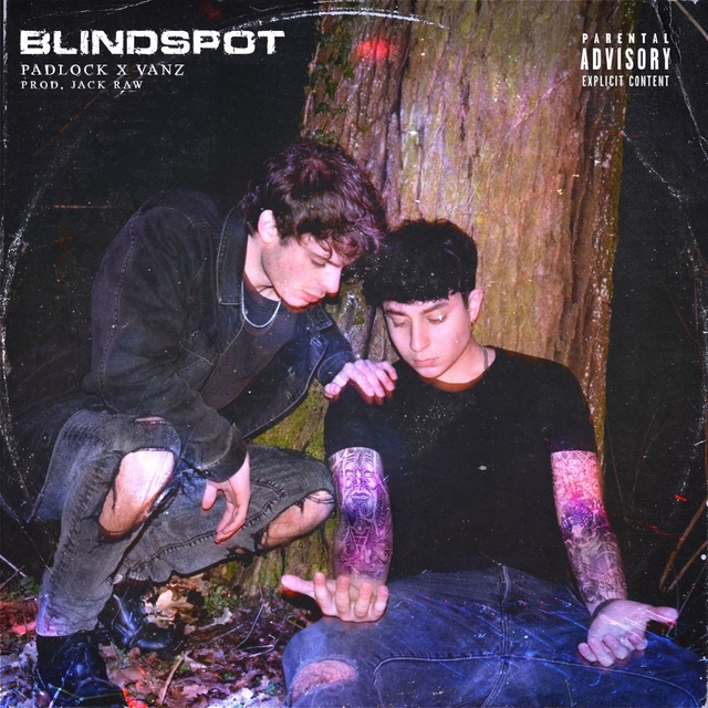 BlindSpot