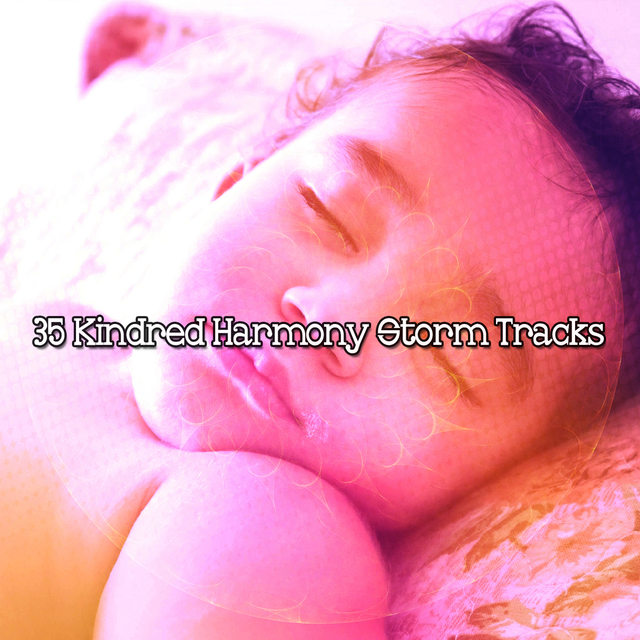 Couverture de 35 Kindred Harmony Storm Tracks