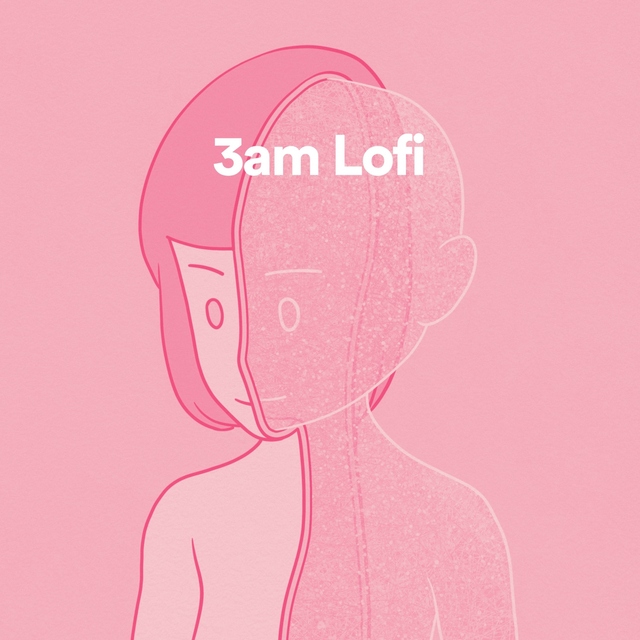 Couverture de 3am Lofi