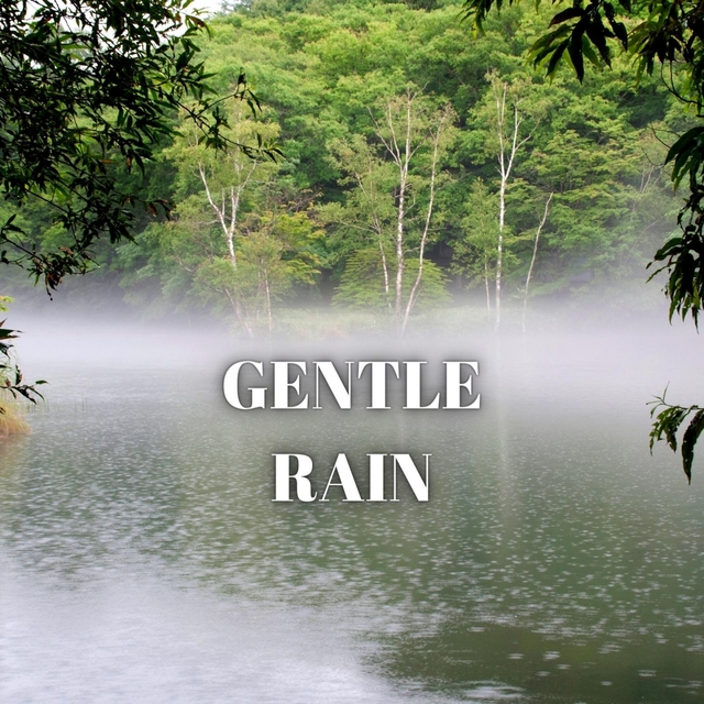 Gentle Rain