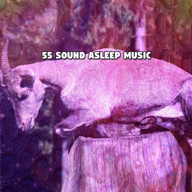 55 Sound Asleep Music