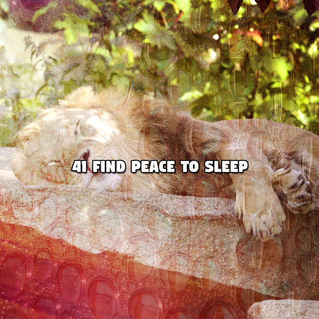 41 Find Peace To Sleep