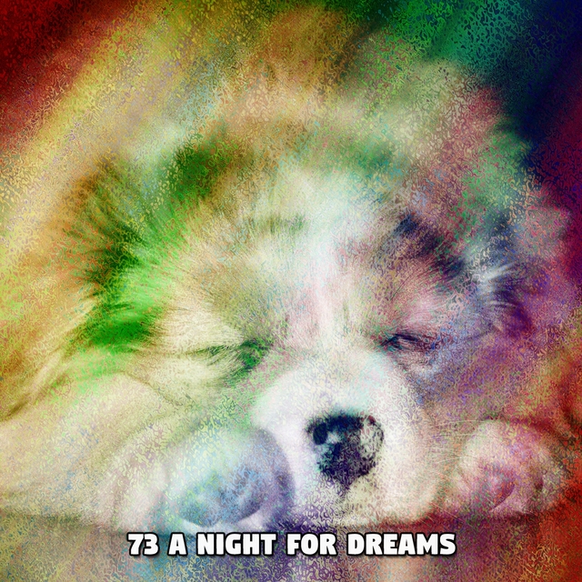 73 A Night For Dreams